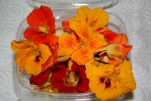 Nasturtiums shout for attention when planted in the full sun, and they thrive in less-than-perfect soil. Both the flowers and foliage are edible.