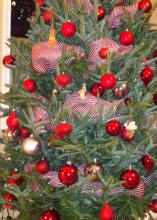 Live Christmas trees add traditional color and fragrance to Christmas celebrations. (Photo by MSU Extension Service/Gary Bachman)