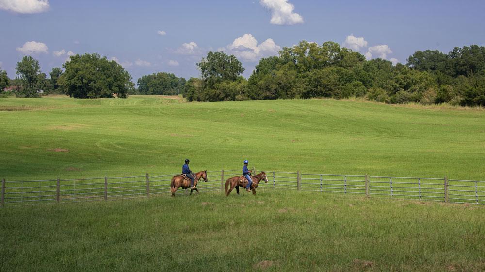 A large, green, grassy field stretches out behind two young men riding brown horses along a fence.