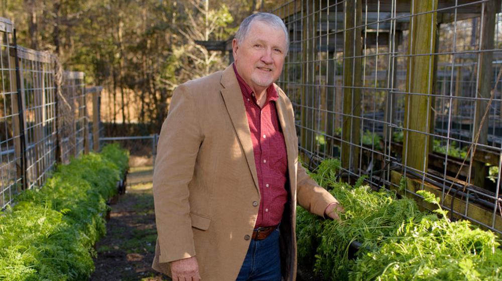 A gray-haired man with white goatee wears a brown blazer over a red polo with blue jeans and brown shoes. He stands in a dirt path flanked on both sides by parsley, about waist-high.