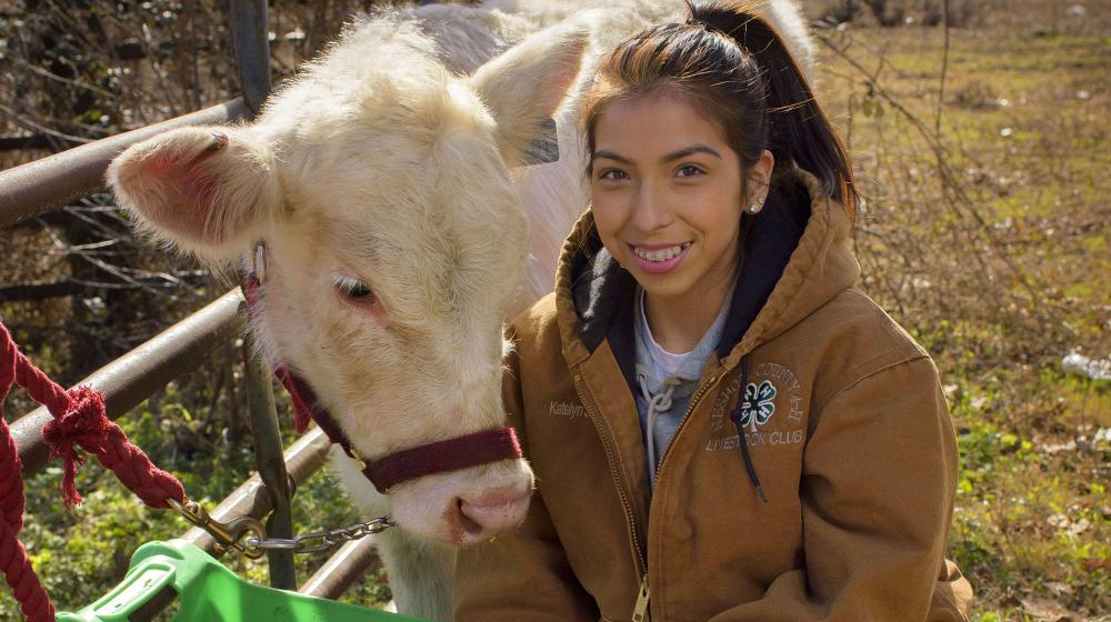 A female teen in a brown 4-H jacket, boots, and jeans squats beside a white cow moving toward its feeder.