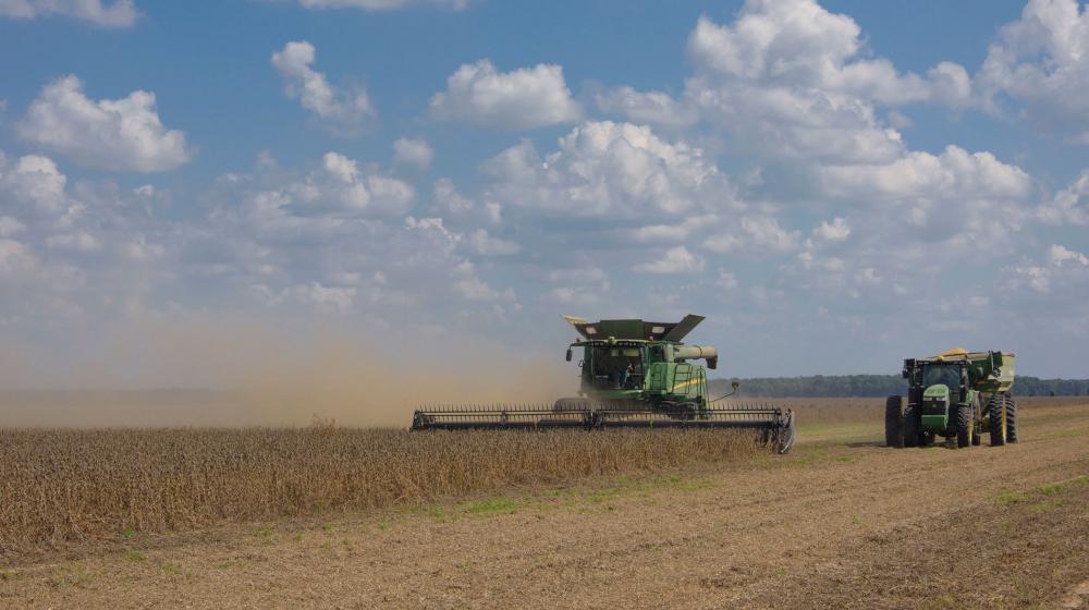 A large, green combine machine plows a soybean field while a green tractor rides beside it.