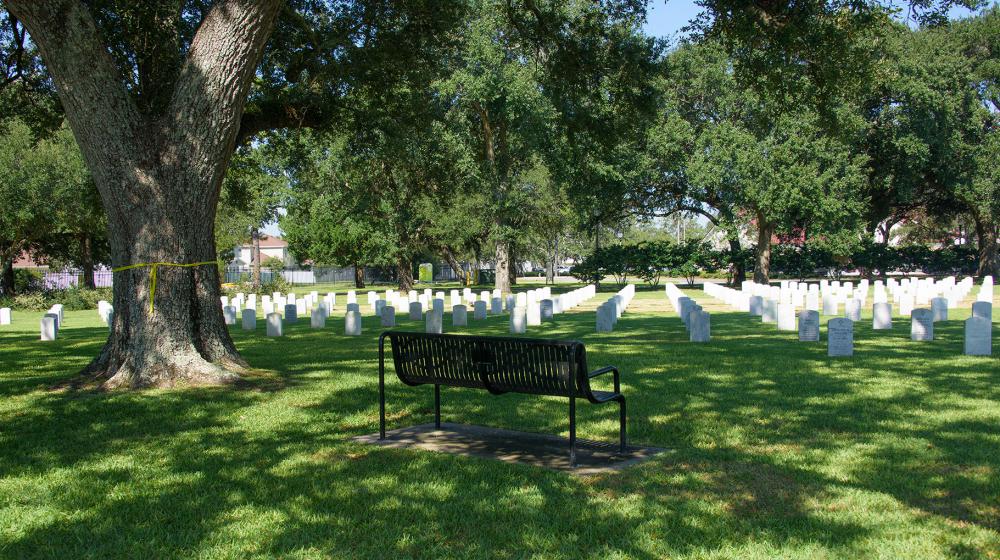 A black metal bench overlooking the cemetery sits under the shade of a large, green tree.