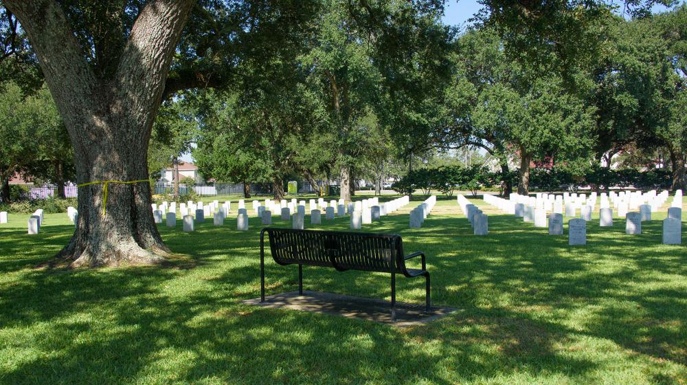 A Place to Visit A black metal bench overlooking the cemetery sits under the shade of a large, green tree.