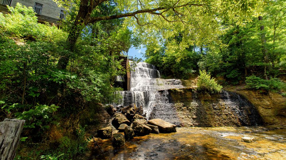 Dunn's Falls.