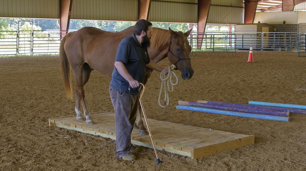 Lance McElhenney, U.S. Marine Corps Veteran Lance McElhenney working with his horse in an arena.