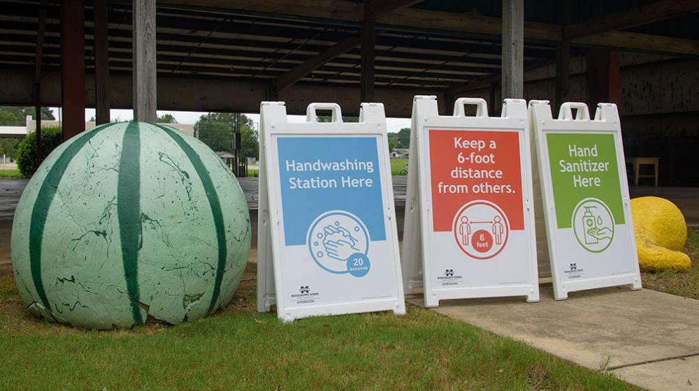 Three signs with “Handwashing Station Here,” “Keep a 6-foot distance from others,” and "Hand Sanitizer Here” next to a large watermelon sculpture.