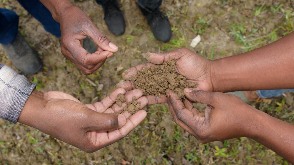 Several human hands hold dirt