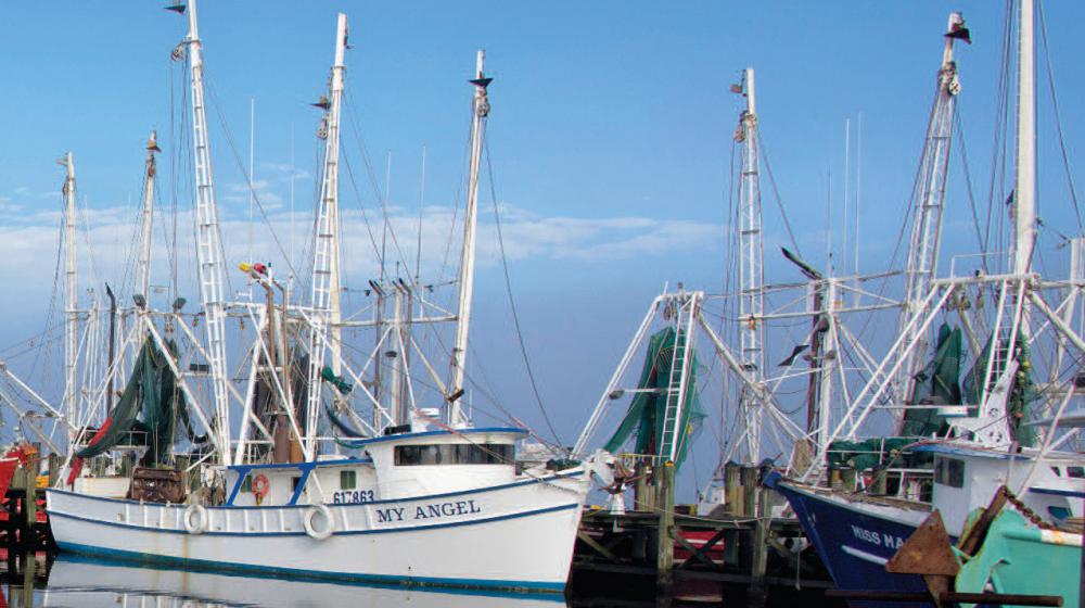 Boats in a harbor.