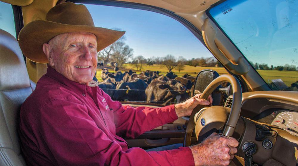 A man sits behind the steering wheel of a car parked in a cow pasture filled with cows. 