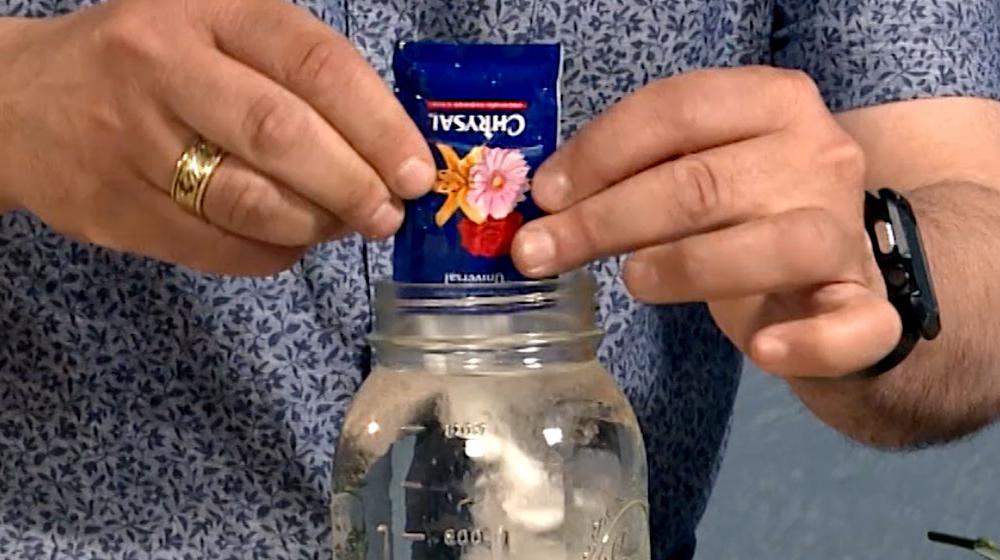A man in a blue shirt adds a packet of flower food to a clear glass quart jar. White flowers lay beside the jar on a cloth-covered table.