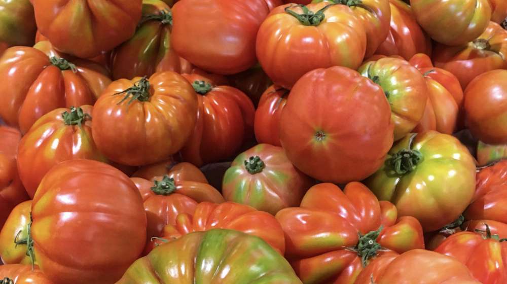 A pile of heirloom tomatoes