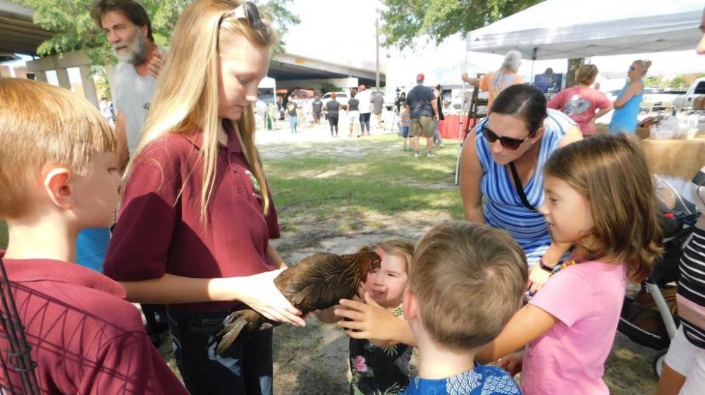 Young girl holding chick to show other young children.