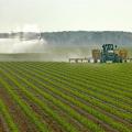 Dry conditions are causing some Mississippi corn producers to begin irrigating early. This tractor cultivates rows in a Sharkey County corn field near Anguilla, Miss., to make way for furrow irrigation while a center pivot irrigation system runs in a field behind the tractor. (Photo by Robert H. Wells/MSU Delta Research and Extension Center)