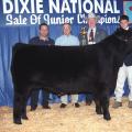 Bryan Williams holds his reserve champion steer in 2001. He is joined by buyers Nicky Alexander and Bruce Deakin, representing Jackson Coca-Cola, and Dr. Lester Spell, commissioner of the Mississippi Department of Agriculture and Commerce. (Photo by Jim Lytle)
