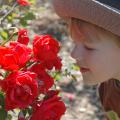 Ebra Angle of Pontotoc moves closer to stop and smell the roses at the recent Spring Garden Day at the North Mississippi Extension and Research Center in Verona. (Photos by Patti Drapala)