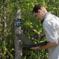 Edward Entsminger, wildlife and fisheries science graduate student, checks trail cameras to monitor wildlife presence and spreads native wildflower seeds. (Photo by Kat Lawrence)