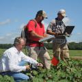 Gary Lawrence and undergraduate students Ben Berch and Patrick Garrard (from left) collect hyperspectral reflectance data from cotton plants infected with reniform nematodes for a grant-funded project at Mississippi State University.