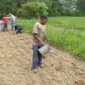 Jaquan Johnson carefully hand-waters a seedling he planted in the freshly turned soil of the Corinthian Garden. Alcorn County Master Gardener volunteers share gardening and life skills with young men participating in a leadership development program at the Lighthouse Foundation in Corinth. (Photo submitted.)