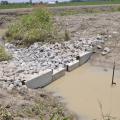 A low-grade weir, such as this one, slows runoff water leaving fields, allowing microbes in the soil and vegetation to pull nutrients out of the water, reducing the nutrients going downstream. (Photo by MSU Ag Communications/Scott Corey)