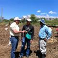 During a recent trip to the Dominican Republic, Mississippi State University scientist Barakat Mahmoud (left) talked to a local Extension agent and a potato farmer about harvesting techniques that reduce the chances of bacterial contamination and food-borne illness. (Submitted Photo)