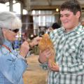 Rachel Harvey of Monticello pets Bob, a buff Plymouth Rock chicken raised by Stone County 4-H member Aaron Scara. Bob was one of six chickens Scara entered into the poultry show at the Mississippi State Fair on Oct. 12. The poultry show returned to the state fair in 2013 after a 30-year absence. (Photo by MSU Ag Communications/Susan Collins-Smith)