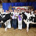 The Mississippi State University Dairy Science Club took home several awards at the Mississippi State Fair on Oct. 11, 2013, including Junior Champion Holstein and Reserve Junior Champion Holstein. Pictured from front left: Hannah Fillyaw, Emmy King, Alexis Caudill, Erin Thompson, Dorothy Claypool, Melissa Steichen, Hailey McGuire, Sarah Allen, Delancey Fortin, Moira Knott, Alexis Parisi, Rebecca Broome, Stephanie Opp, Sydney Tamashiro, Shawna Blau, Jennifer McPherson; back row: Casey Jowers, Kaylin Chaney,