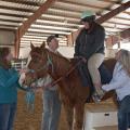 Lori Irvin, a therapeutic riding volunteer, holds the horse still while Mississippi State University Extension Service agents Jim McAdory and Cassie Brunson make sure Martina Tubby is comfortable for a ride at the Elizabeth A. Howard 4-H Therapeutic Riding and Activity Center in West Point on March 20, 2014. (Photo by MSU Ag Communications/Kat Lawrence)