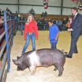 Alexis Pickens, center, maneuvers a hog in the Clarke County Special Needs Livestock Show under the watchful eyes of 4-H member Brittany Conner on Jan. 23, 2015. U.S. Congressman Gregg Harper is reporting observations as he serves as the celebrity judge for the annual event in Quitman, Mississippi. (Photo by MSU Ag Communications/Linda Breazeale)