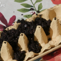 A tan-colored cardboard egg carton partially filled with potting soil on top of a floral tablecloth. 