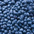 Blueberries