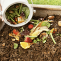 fruit and vegetable waste is added to a compost pile