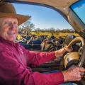 A man sits behind the steering wheel of a car parked in a cow pasture filled with cows. 