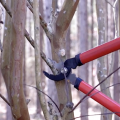 A red pruning tool cutting a branch. 