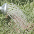 Liquid drench is poured from a watering can on a fire ant bed.