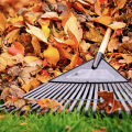 A rake in orange leaves.