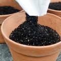 Pouring planting potting soil mix into pots in the garden.
