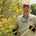 A man holds pruning loppers as he stands next to a tall blueberry bush. 