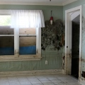 Two walls of a kitchen that has been flooded show significant mold damage and damage to the drywall.
