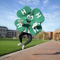 4-H clover on MSU Campus
