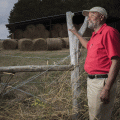 A man holds onto fence as he looks at a field with stacked hay bales in it.