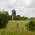 Abandoned corn silage silos dot the Mississippi countryside as towering monuments marking the locations of former dairy farms like this one in Oktibbeha County on May 30, 2014. (Photo by MSU Ag Communications/Linda Breazeale)