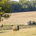 Mississippi hay supplies are expected to be low going into winter. Factors that contributed to low production include a very cold winter, a wet spring and an abundance of armyworms. (Photo by MSU Ag Communications/Scott Corey)