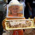 Beekeeping is a popular activity in Mississippi. The state has 12 full-time commercial beekeepers, 35 part-time honey producers and several hundred hobbyists. (Photo by MSU Extension Service/File Photo)