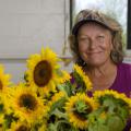 Terri Doyle grows sunflowers at Coastal Ridge Farm on the Mississippi Gulf Coast and sells them to wholesale distributors and at farmers markets. (Photo by MSU Extension Service/Kevin Hudson)