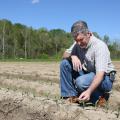 Producers took advantage of a break in the typical spring rains to get much of Mississippi’s corn crop planted in late March. Erick Larson, Mississippi State University Extension Service corn specialist, examined corn in Starkville, Mississippi, on April 5, 2017. (Photo by MSU Extension Service/Kat Lawrence)