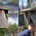 Brown-headed nuthatch (left) inspecting a recently cleaned-out nest box in a backyard in Clinton, Mississippi. Nest boxes with easy access doors make cleaning the boxes for the new breeding season simple and quick. (Photos by MSU Extension Service/Adam T. Rohnke). 