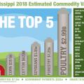 This illustration shows the top five agricultural commodities in Mississippi in a bar graph with each bar resembling a silo standing next to a barn. The top five commodities are poultry, forestry, soybeans, cotton and corn. Other commodities are also listed.