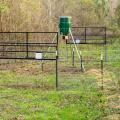 Two sturdy wire gates are raised in the large round corral trap. An automatic feeder on a tall tripod is inside the pen.