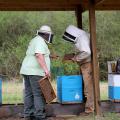 Two men in beekeeping attire examine bee hive boxes.